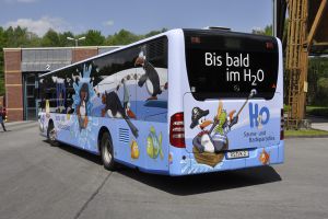 H2O | Pingobus